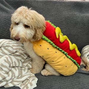DOG HALLOWEEN COSTUME